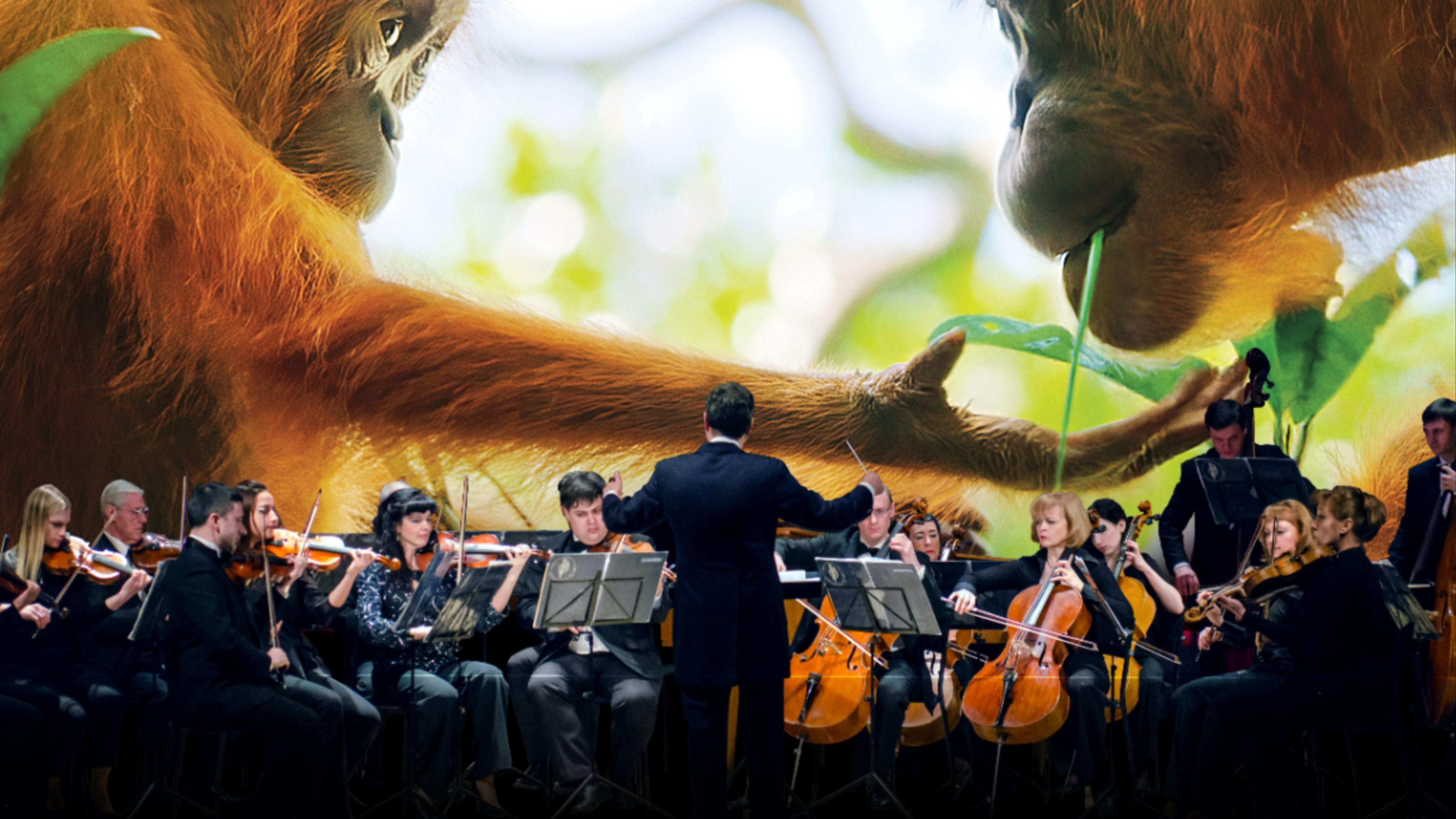 Our Planet Live In Concert