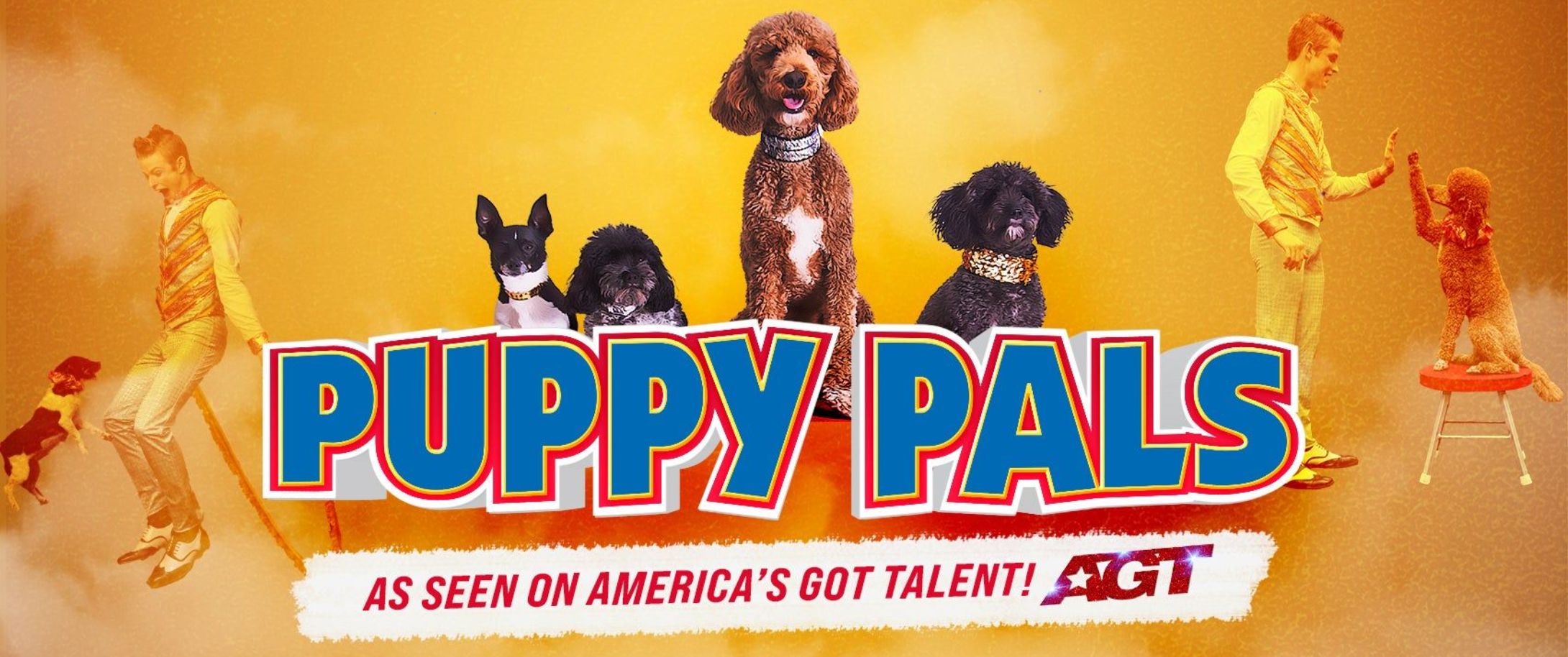 Puppy Pals Live from Americas Got Talent